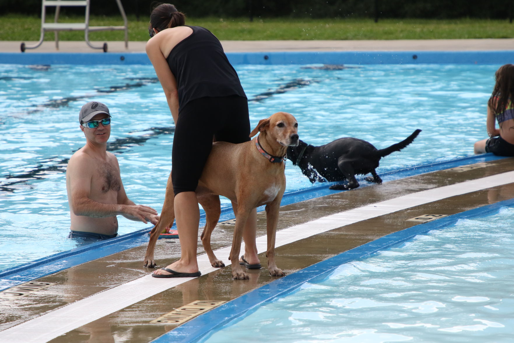 Dogs at the pool (67).JPG